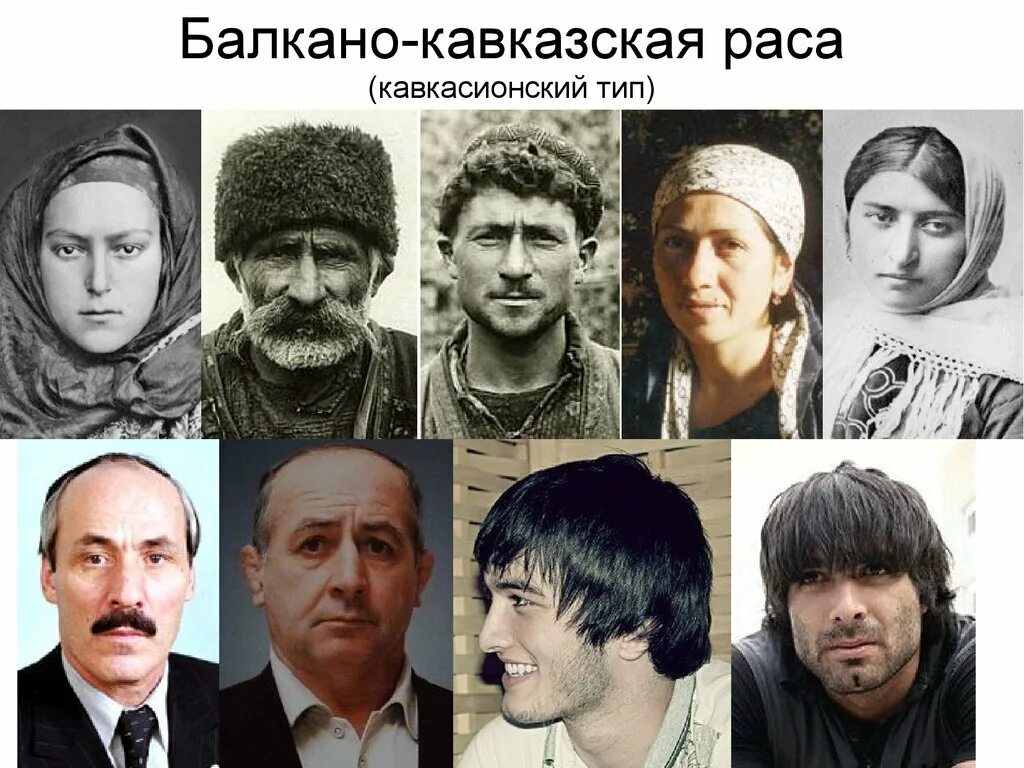 Настоящие люди какой народ. Балкано-Кавказская раса. Балкано-Кавказская раса внешность. Кавкасионский антропологический Тип. Кавкасионская раса народы.