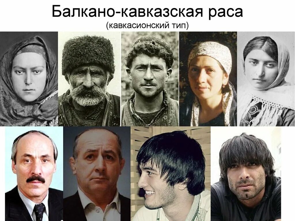 Балкано-Кавказская раса кавкасионский Тип. Раса балкано-Кавказская раса. Балкано-Кавказская раса Понтийский. Балкано-Кавказская раса балкано-Кавказская.