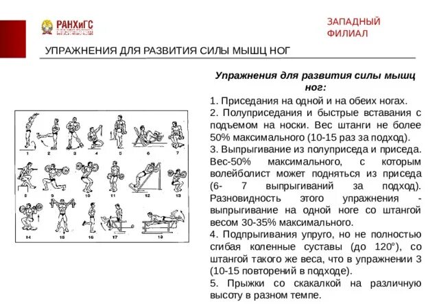 Комплекс упражнений для развития силы ног. Упражнения на развитие силы мышц ног физкультура. Упражнения для развития силы мышц нижних конечностей. Составить комплекс упражнений для развития силы мышц ног. 20 упражнений на силу