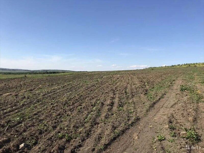 земля 1 гектар аренда. арендованная земля это. 1 гектар стоимость. черноземы краснодарского края. неиспользуемые сельхоз земли.