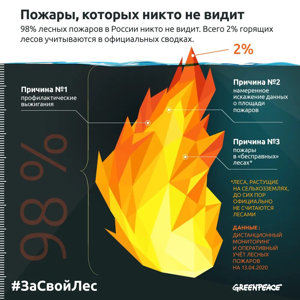 Статистика лесных пожаров в россии. Инфографика по лесным пожарам. Лесные пожары инфографика. Статистика лесных пожаров в России 2020. Причины пожаров в России.