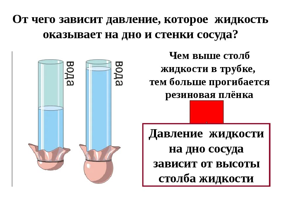 . Давление жидкости на дно и стенки сосуда зависит от. Давление жидкости 7 класс физика. От чего зависит давление жидкости. Давление в сосудах физика. Давление жидкости на стенки сосудов задачи