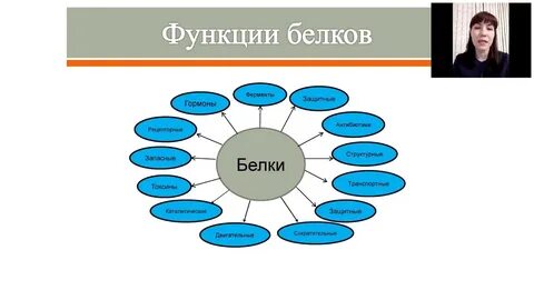 Белки токсины примеры