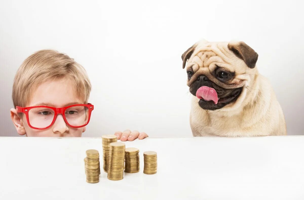 Копилка собака. Тратить деньги на питомца. Pet Taxes. Saving money Kid. Money pet