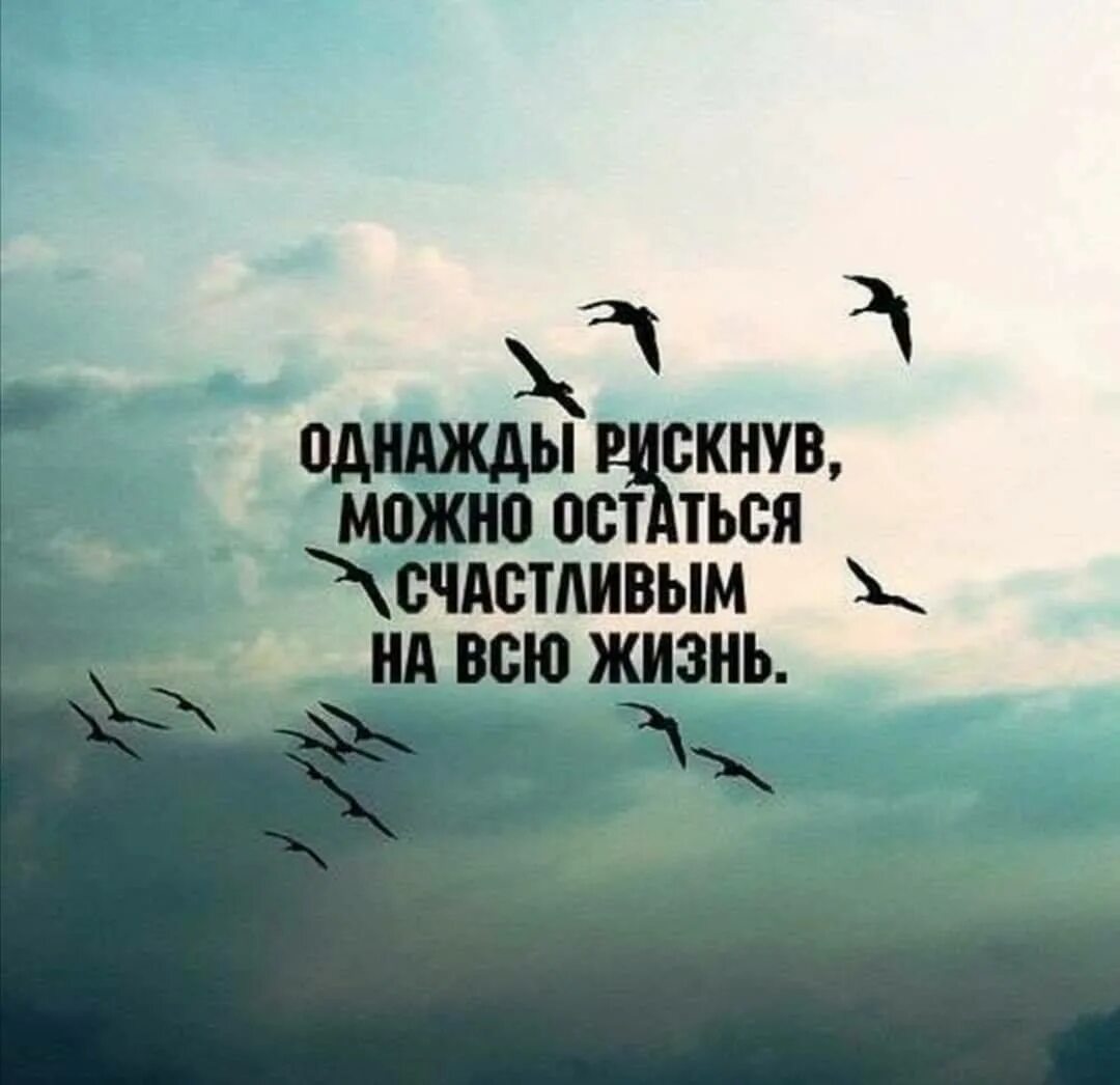 Смысл счастья цитаты. Рискуйте цитаты. цитаты про риск. цитаты про риски. однажды рискнув можно остаться.