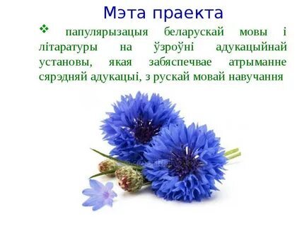 Василек на белорусском