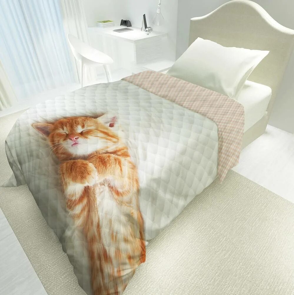 Покрывало с кошками. Котик в одеяле. Котик в пледе. Кот в покрывале. Плед с кошками.