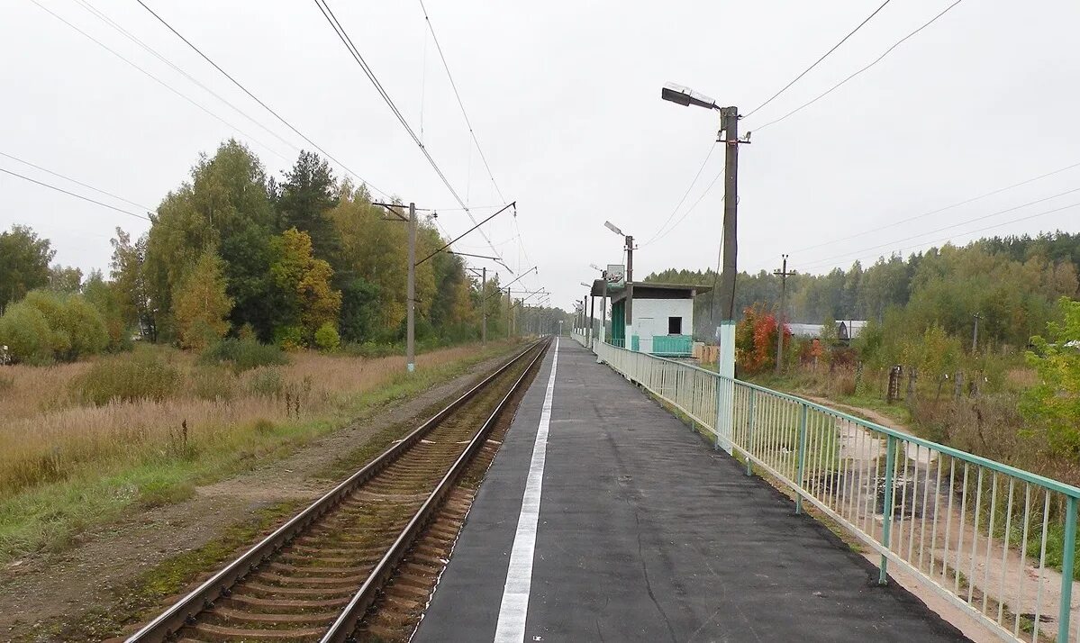 Погода на куровской на неделю московской