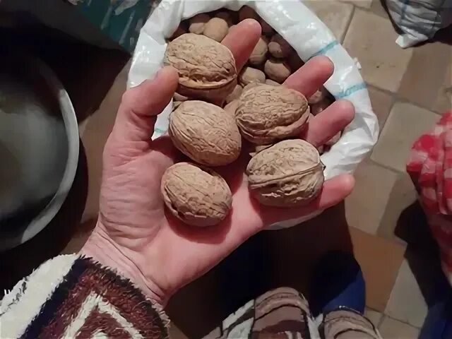 Орехи колются