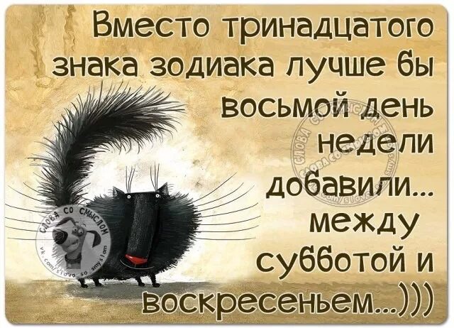 день между субботой и воскресеньем. цитаты про выходные прикольные. мне нужен еще один день между субботой и воскресеньем. как прошли выходные картинки прикольные. афоризмы про воскресенье смешные.