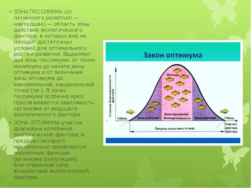 Закон оптимума кратко. Зона оптимума зона пессимума. Зоны оптимума, нормальной жизнедеятельности и пессимума. Зона пессимума экологического фактора. Факторы среды зона оптимума.