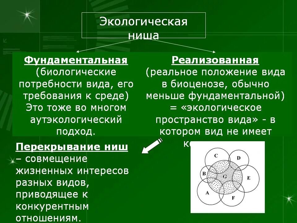 Экологическая ниша. Реализованная экологическая ниша. Фундаментальная и реализованная экологическая ниша. Экологическая ниша презентация. Экологическая ниша презентация 9