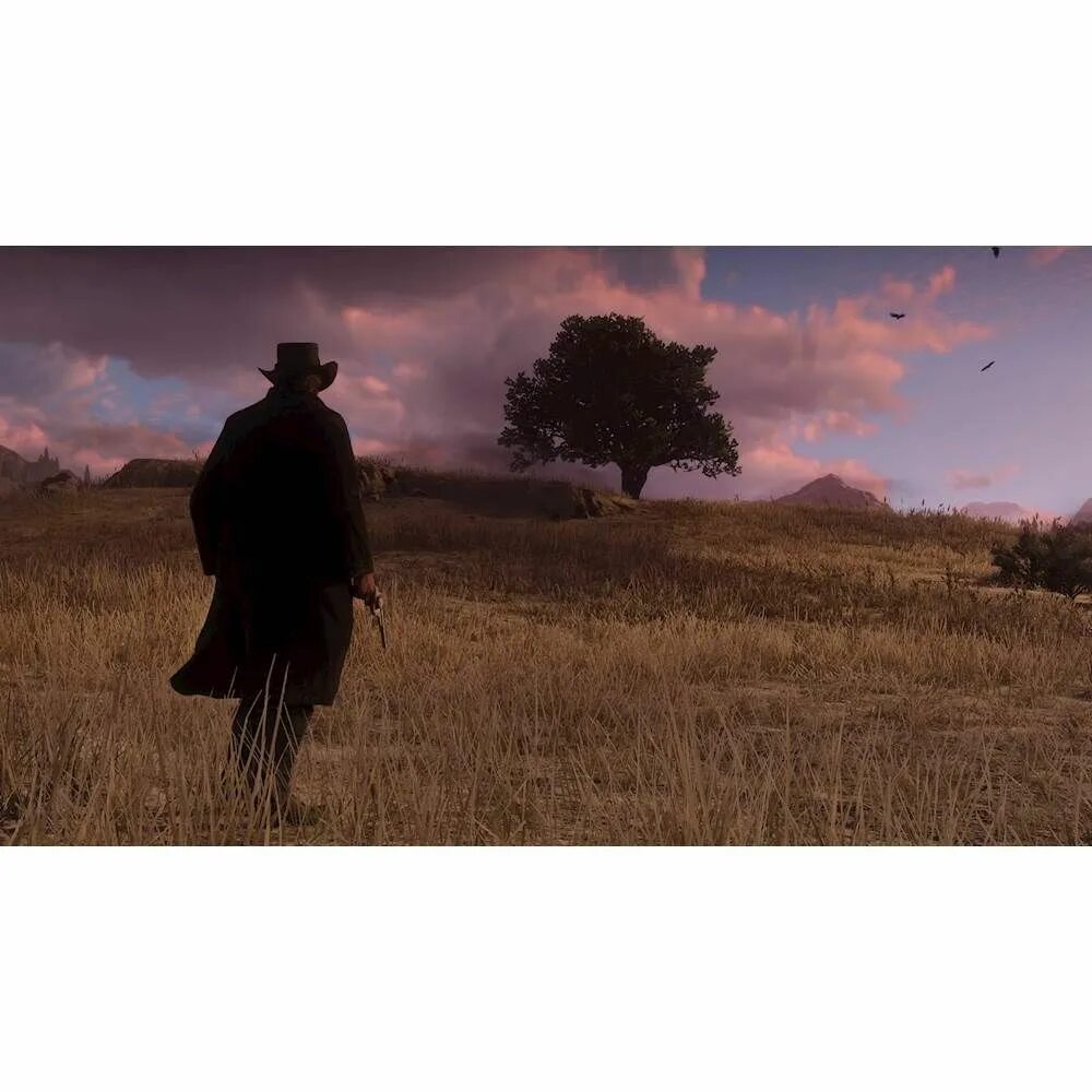 Как сохранить игру red dead redemption 2. Коллекционка rdr 2. red dead redemption 2 коллекционка.