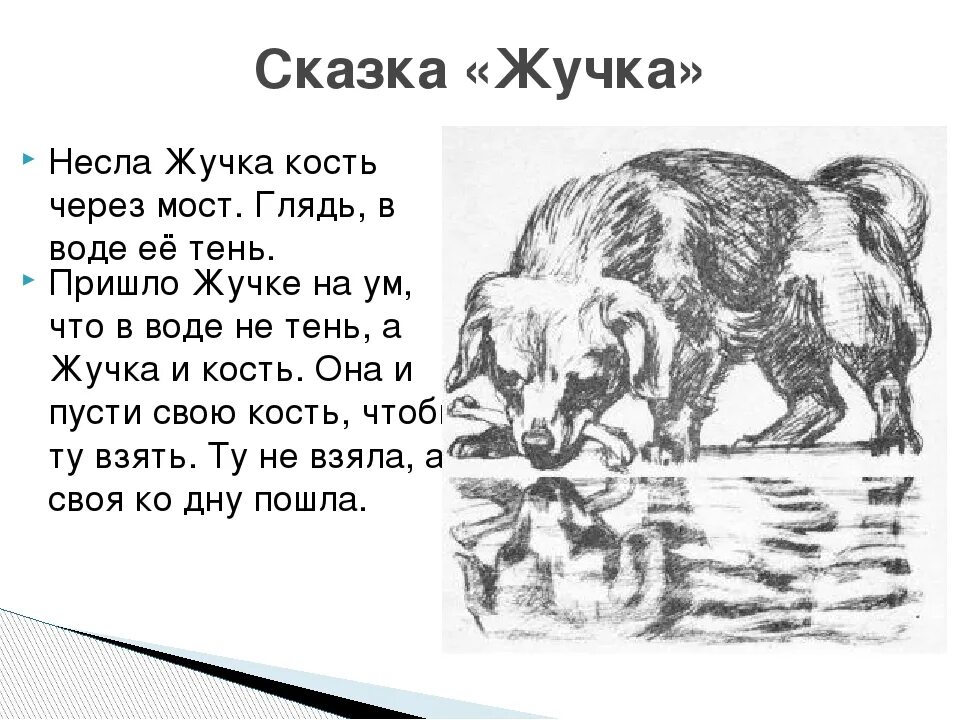 Толстой про собаку. Лев Николаевич толстой жучка и кость. Рассказ л Толстого жучка. Басня Льва Николаевича Толстого собака и ее тень. Л толстой басня собака и ее тень.