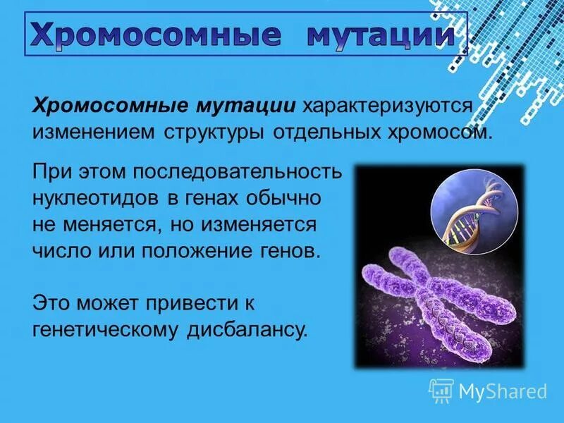 Изменение структуры хромосом – это мутации …. Делеция транслокация инверсия. Мутации связанные с изменением структуры хромосом. Хромосомные мутации. Типы мутаций примеры изменчивости типы мутаций причины мутаций.