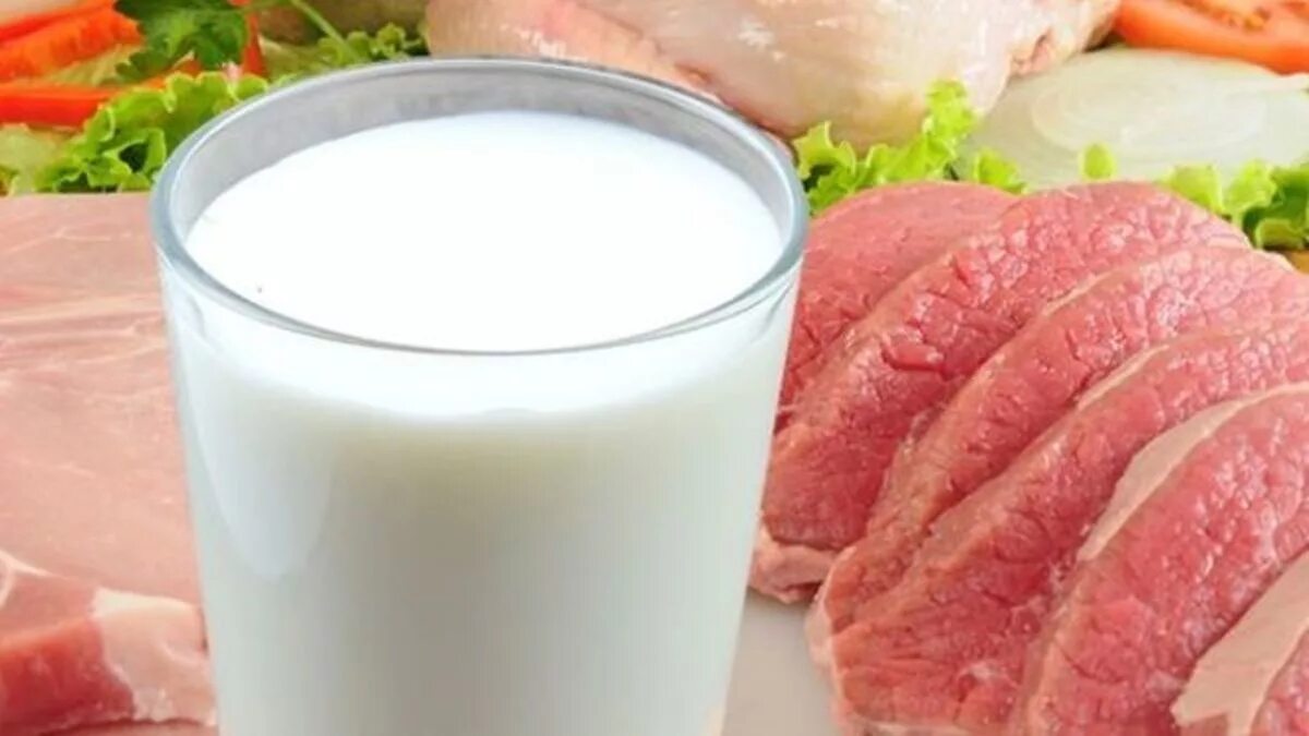 Мясо и молоко. Мясо-молочная продукция. Мясо молочные изделия. Молочные и мясные продукты.