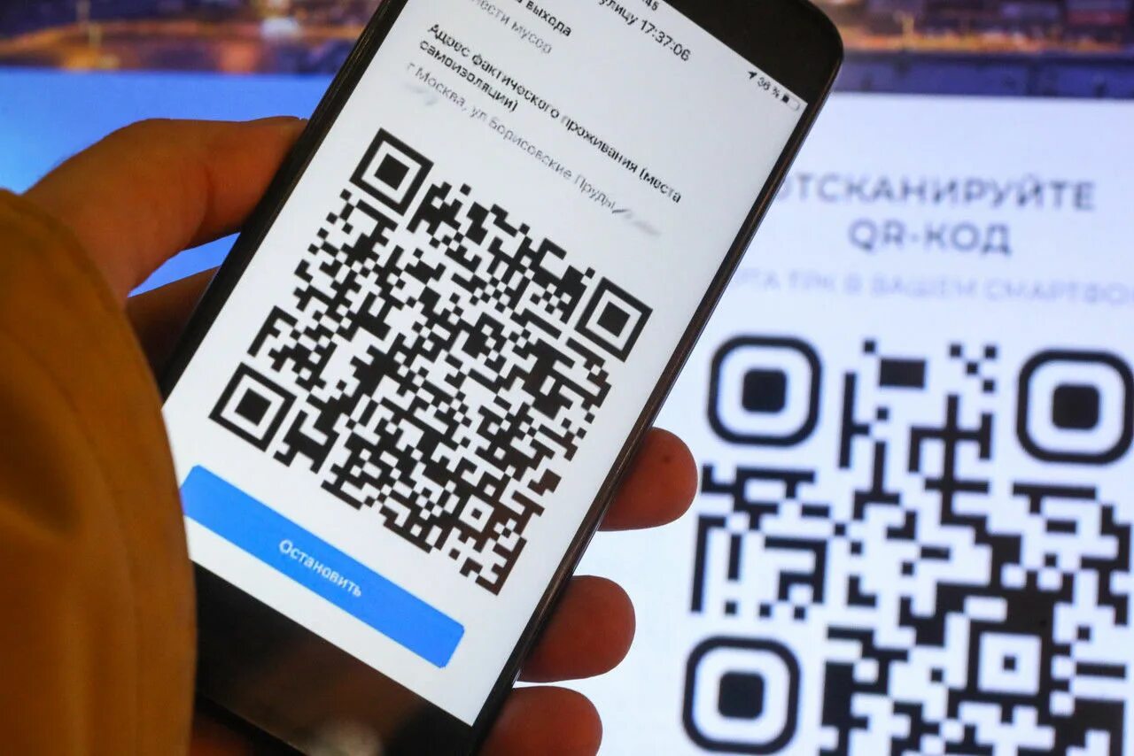 ЙК код. Iqr коды. Сертификат с QR кодом. QR коды в общественных местах. Qr код антитела