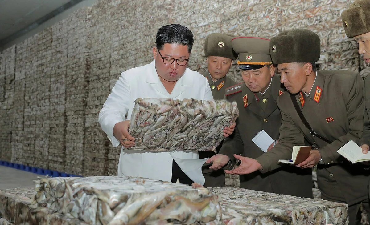 Как живет северная корея в самом деле. Как живет северная корея в самом деле