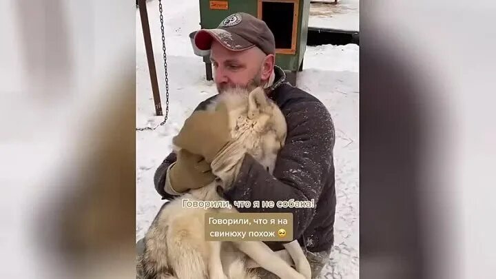 Эти кошки смеялись надо мной говорили что. Кот и моему сыну тоже. Животные ржут. Кошки умеют смеяться. Кот рассказывает.