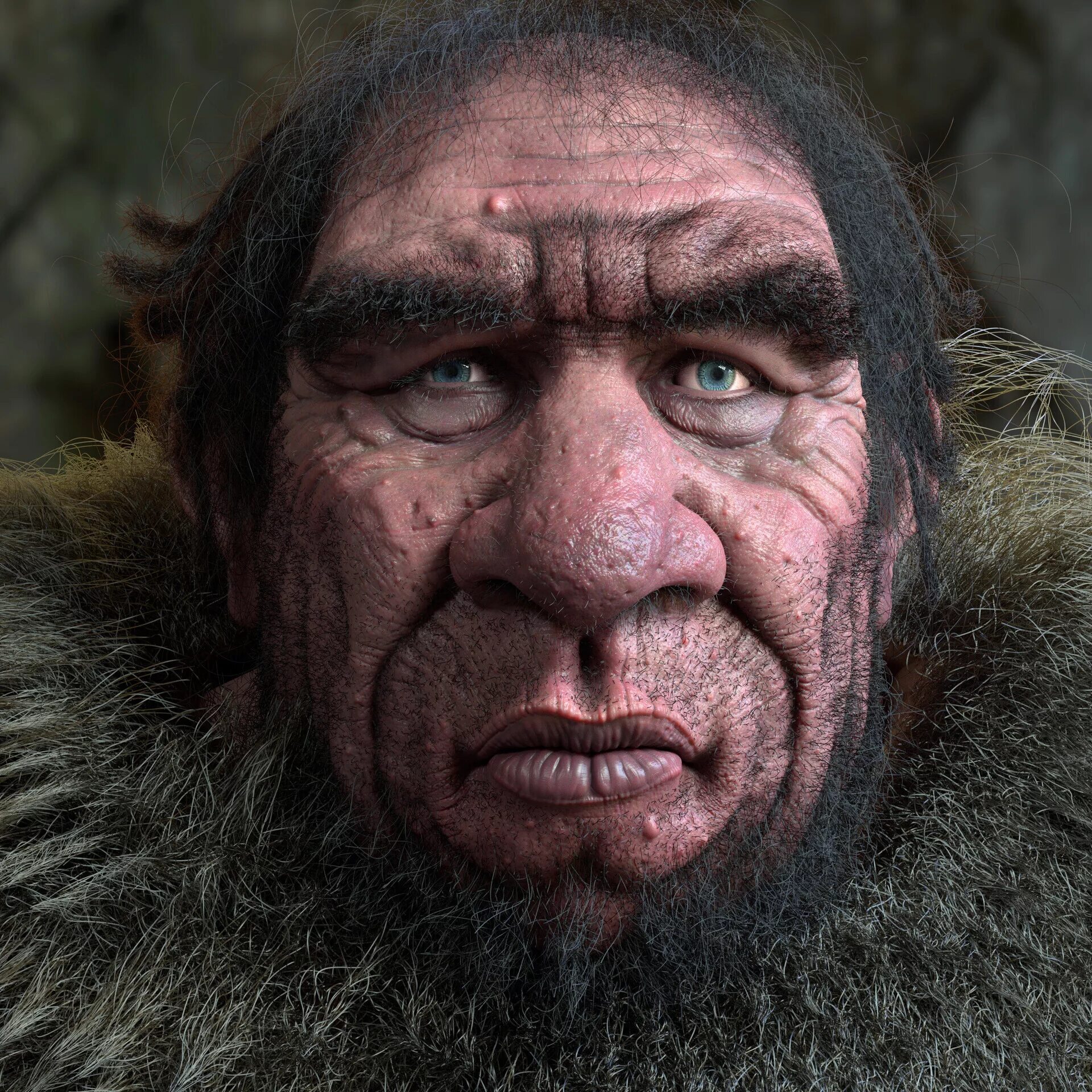 Читать неандерталец 2. Неандерталец (homo neanderthalensis).