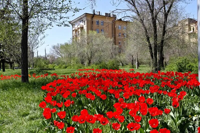 Какой будет апрель в волгограде. Парк Волгограда весной. Расцветающая архитектура Волгоград весной. Волгоград Курган весной.