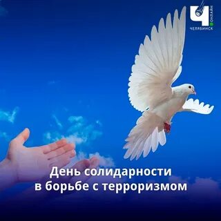 День солидарности видеоурок