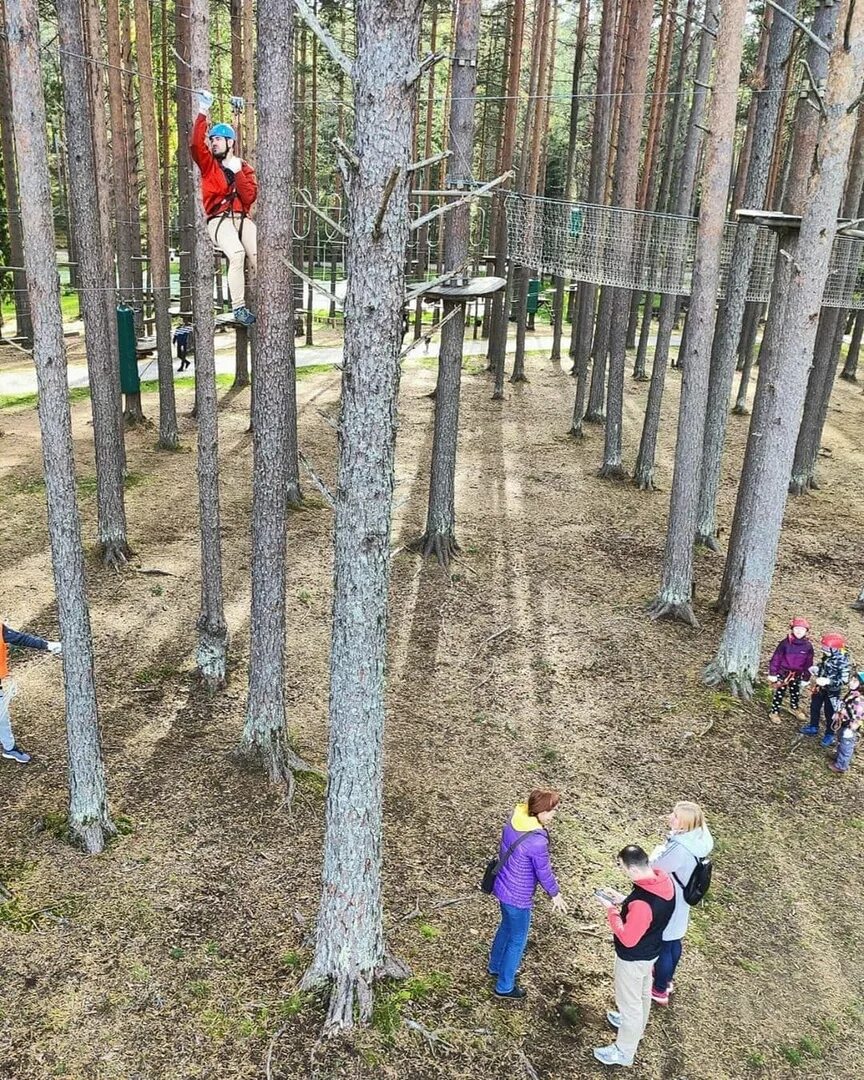 Веревочный парк Давинчи. Веревочный парк ЛЕНОБЛАСТЬ. Веревочный парк в Мурино. Веревочный парк в Ленобласти на озере для детей. Веревочные парки спб и ленинградской