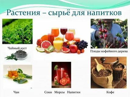 Сырье получаемое из растений и животных