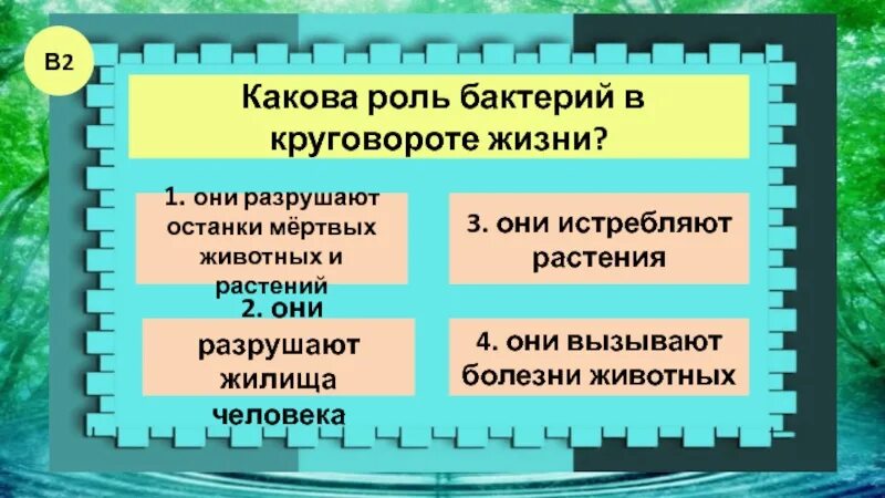 Какова роль потребителей. Задания по теме Великий круговорот жизни. Великий круговорот в природе. Роль бактерий в круговороте жизни. Какова роль бактерий в круговороте жизни.