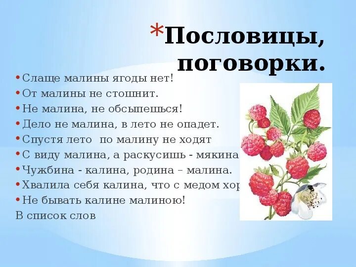 Ягодка предложение. Пословицы и поговорки про малину. Пословицы и поговорки про ягоды. Стихи о ягоде Малине. Пословицы и поговорки про ягоды малину.