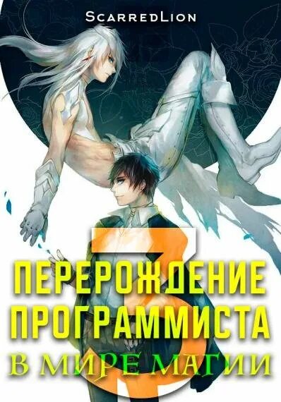 Перерождение программиста в мире магии. Перерождение книга. Книга про перерожденцев. Фэнтези Перерождение книги.