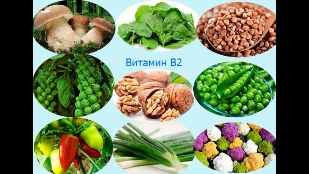 Продукты с витамином в 2. Витамин б2 источники продукты. Источники витамина б2. Витамин в2 источники витамина. Источники витамина b2.