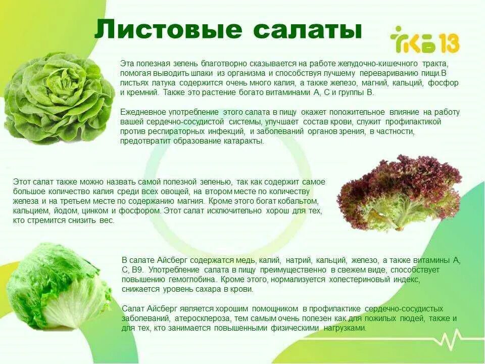 Чем полезен салат листовой для организма. Чем полезны листья салата. Полезная зелень для организма. Микрозелень витамины. Салатный лист полезные.