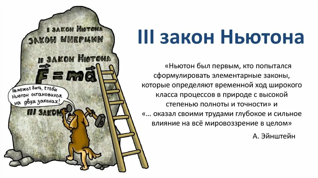 Карикатура про физику. Шутка про эйнштейна ньютона и паскаля. Анекдот про ньютона и паскаля. Анекдот про эйнштейна и ньютона. Шутки про ньютона.