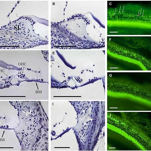 Limbus coupon code. Limbus coupon code. Discount coupon a#. Limbus coupon code. Limbus coupon code.