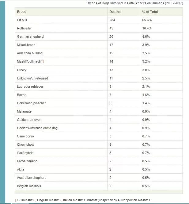 Статистика нападений собак по породам в России. Нападения собак на людей статистика. Сила укуса собак таблица. Статистика нападения собак на людей в России. Статистика нападений людей на людей