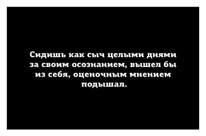 Вела себя спокойно. Сидишь как Сыч. Сидеть дома как сычи. Сидишь как Сыч за своим компьютером. Вести угрюмый образ жизни мешает айнанэ.