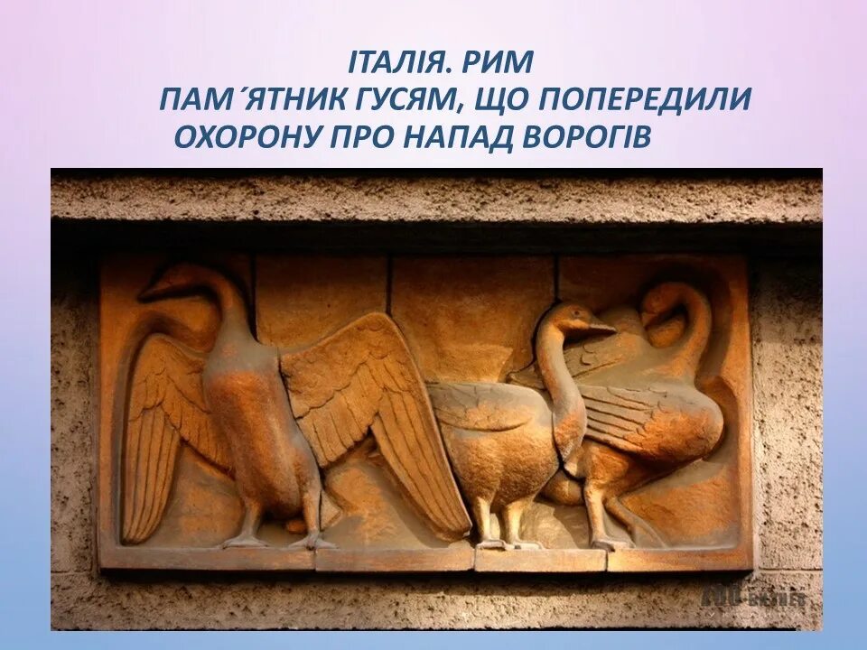 Кто спас рим. Памятник Гусям в Риме. Гуси спасли Рим. Памятник как гуси Рим спасли. Как гуси Рим спасли рисунок.