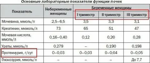 Белок в моче 36 недель беременности
