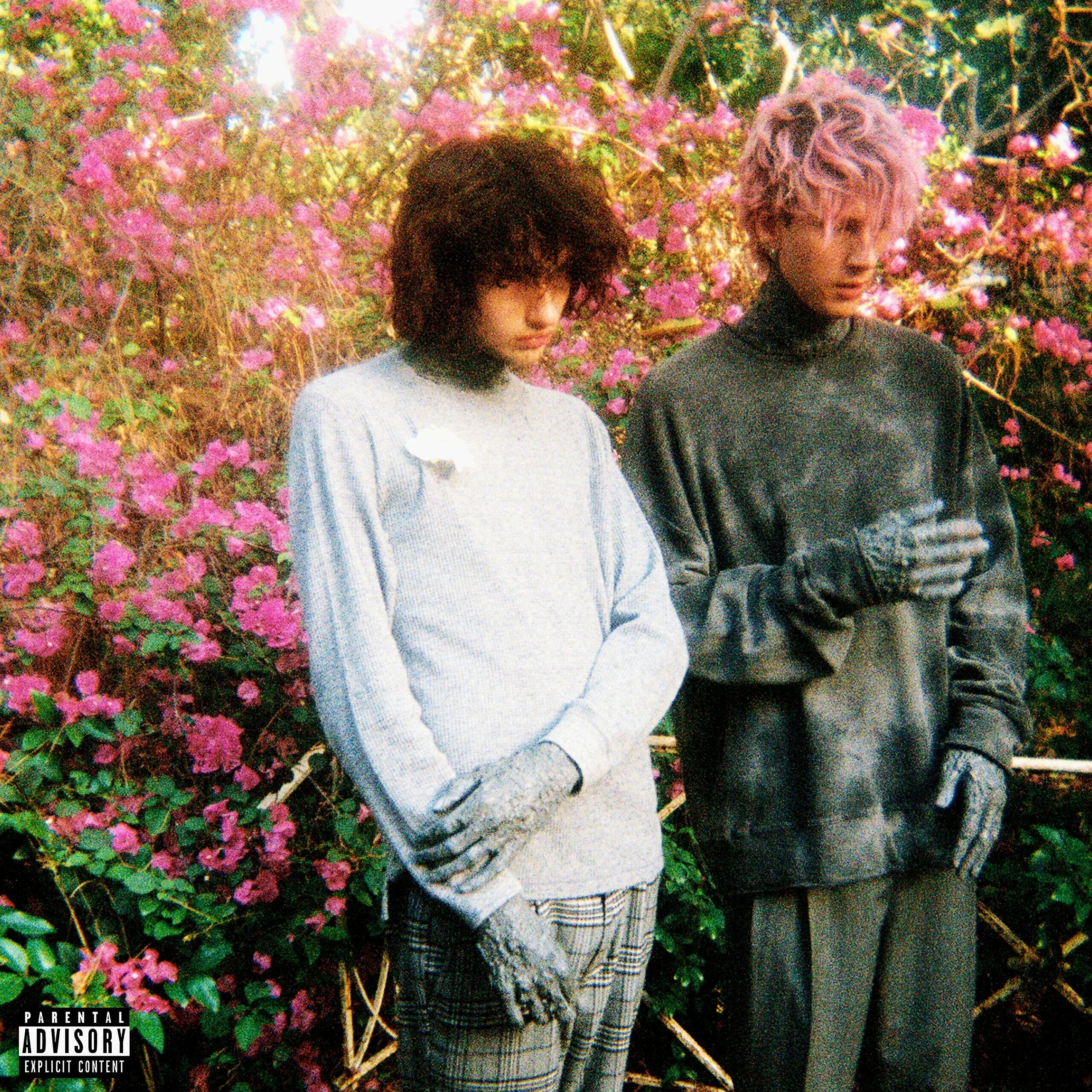 More life песня. More than life machine gun kelly. глэйв певец. machine gun kelly - mainstream sellout (2025). песня more.