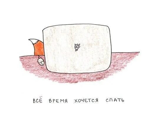 Кот уткнулся мордой в пол. Просто не хочется спать. Спать хочется больше чем жить. Просто не хочется спать. Хочется спать картинки.