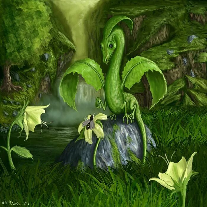 цветочный дракон. стрелиция хвостатая. гилоцереус - питахайя. драконья растение. драконья растение.