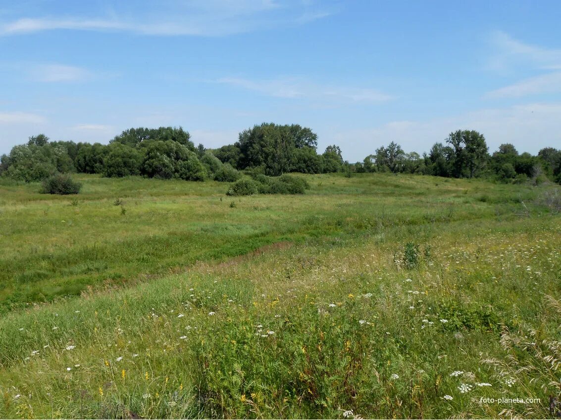 Погода в республике адыгея село еленовское. Погода в республике адыгея село еленовское. Погода в республике адыгея село еленовское. Погода в республике адыгея село еленовское. Погода в республике адыгея село еленовское.