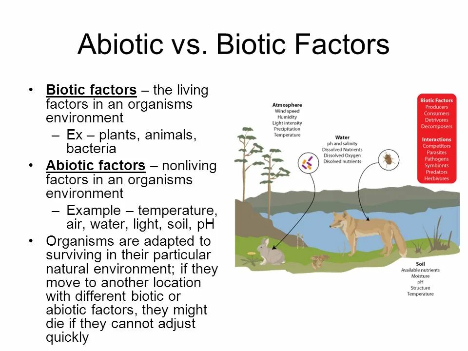 Abiotic factor аномалия. Biotic and abiotic factors. abiotic factor игра. abiotic factor локации. abiotic factor описание.