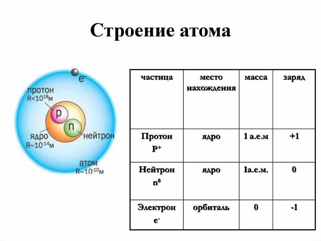 В состав ядра любого атома входят. Состав и строение атомов химия 11 класс. Строение ядра атома химия 8 класс. Строение атома химия 8 класс. Строение атома химия 8 класс кратко.