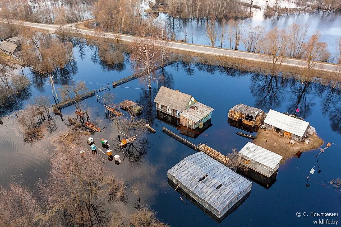 Припять паводок. Река припять в беларуси. река припять чернобыль. припять наводнение. гомель река припять.