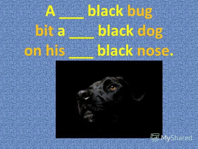 A big Black Bug bit the big Black Dog. Big Black Bug bit a big Black Dog on his big Black nose. A big Black Bug скороговорка. A big Black Bug bit.
