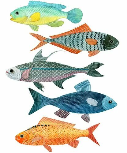 Рыбки фотопечать. Size 2 fish. Fishes fishes where are you. Тропические рыбки для аквариума. Fishes fishes where are you.