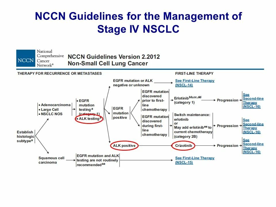 Nccn guidelines cancer. Nccn гайдлайн. nccn. nccn (national comprehensive cancer network. nsclc nccn.