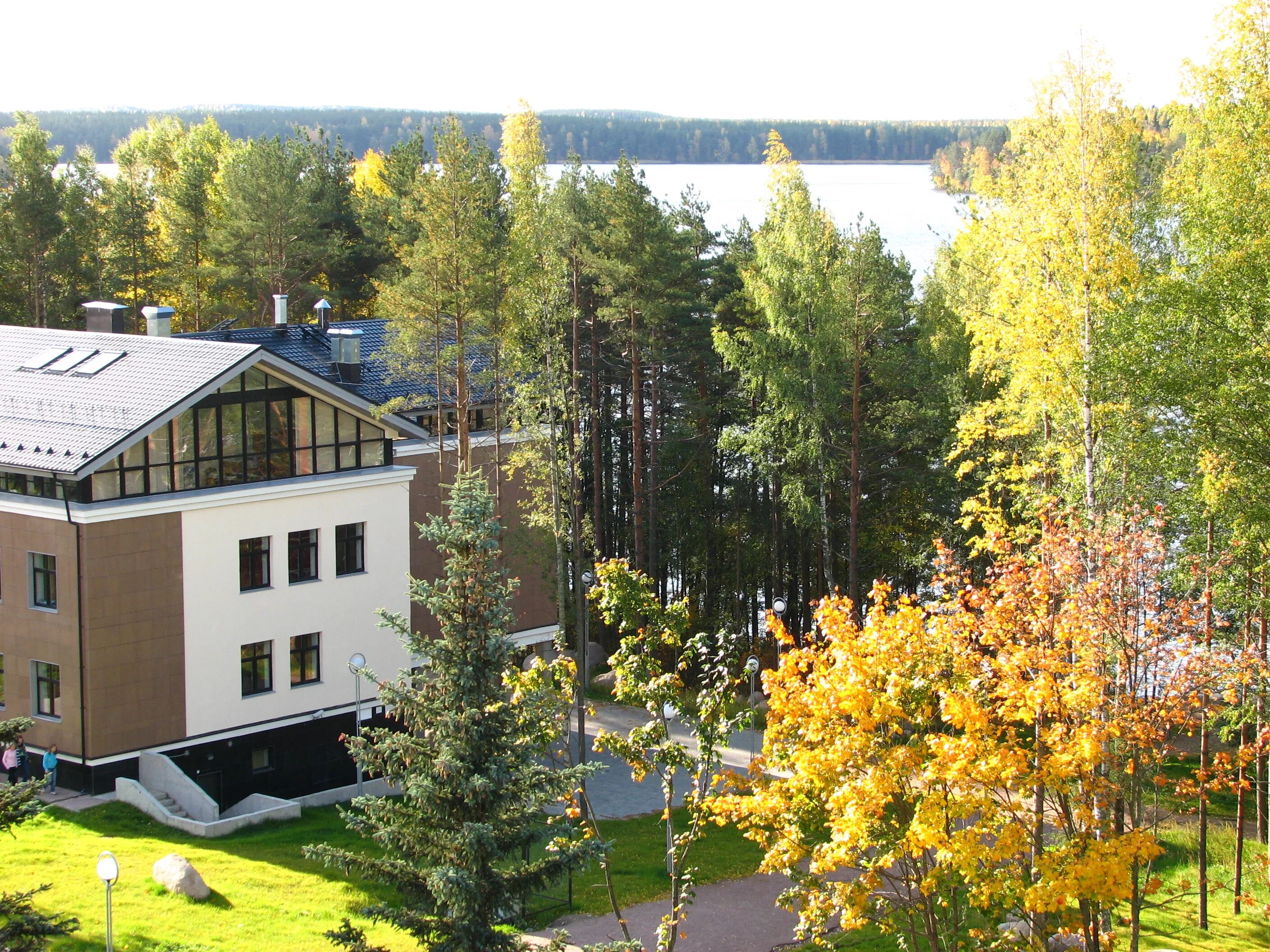 зеркальный лагерь спб зц дют. зазеркальный лагерь спб. лагерь зеркальный ленинградская. зцдют зеркальный лагерь. пионерский лагерь зеркальный в ленинградской области.